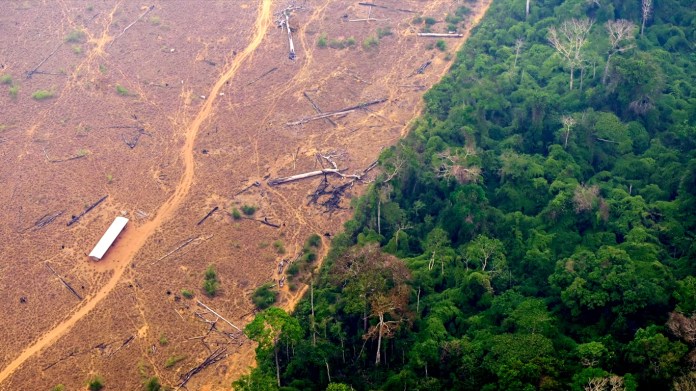 MPAC abre procedimento para apurar desmatamento ilegal de 54 hectares em Mâncio Lima
